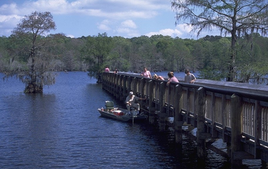 Chicot State Park, Louisiana, USA